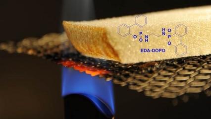 科学家研发出无毒溶液 据称可使木材具有防火性